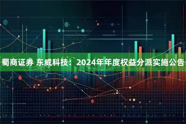 蜀商证券 东威科技：2024年年度权益分派实施公告