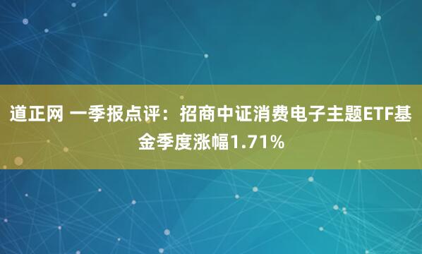 道正网 一季报点评：招商中证消费电子主题ETF基金季度涨幅1.71%