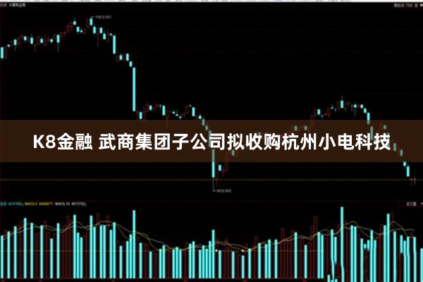 K8金融 武商集团子公司拟收购杭州小电科技