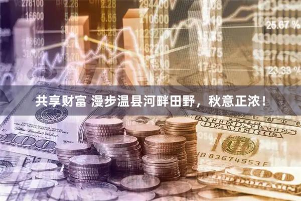共享财富 漫步温县河畔田野，秋意正浓！