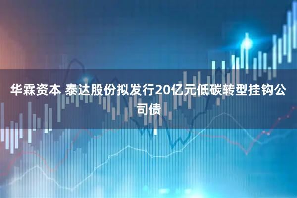华霖资本 泰达股份拟发行20亿元低碳转型挂钩公司债