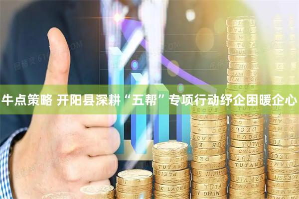 牛点策略 开阳县深耕“五帮”专项行动纾企困暖企心